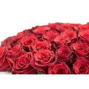 Kytice ekvádorských růží 80 cm